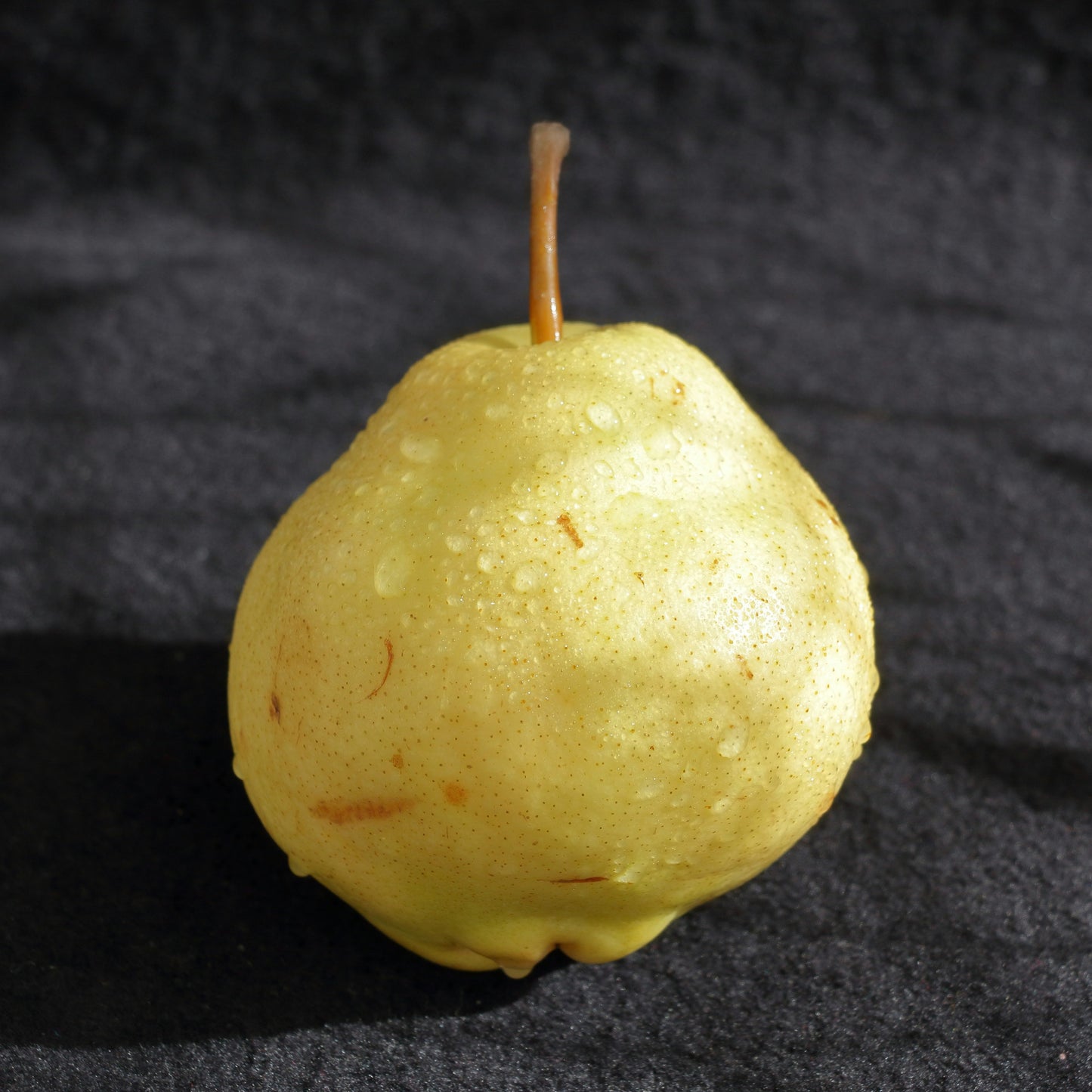 Bartlett Pear
