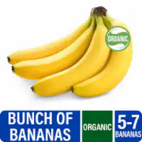 Organic Bananas