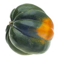 Acorn Squash