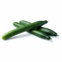 Organic English Cucumber