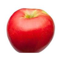 Honeycrisp Apple