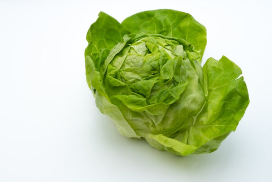 Iceburg Lettuce