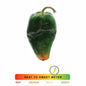 Poblano Pepper