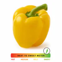 Yellow Pepper